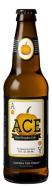 Ace - Hard Pumpkin Cider