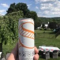 Stateside Vodka Soda Orange 4pk Can (4 pack 355ml cans)